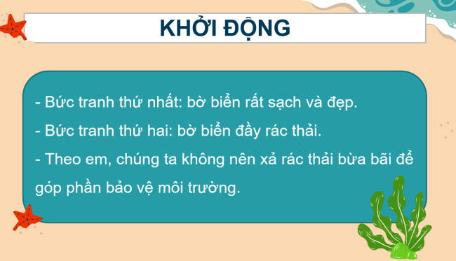 PowerPoint Tiếng Việt 2 Bài 15: Những con sao biển