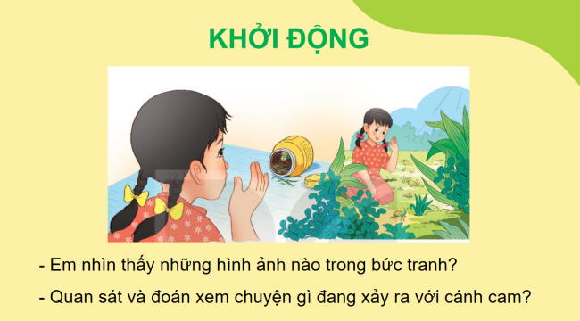 PowerPoint Tiếng Việt 2 Bài 16: Tạm biệt cánh cam