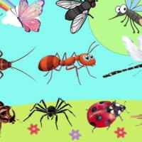 PowerPoint Tiếng Việt 2 Bài 16: Mở rộng vốn từ về các loài vật nhỏ bé. Dấu chấm, dấu chấm hỏi