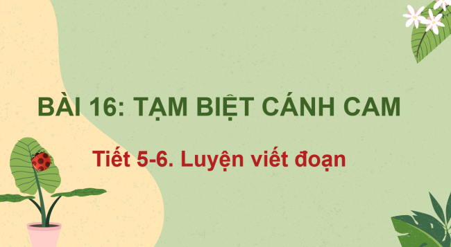 PowerPoint Tiếng Việt 2 Bài 16: Viết đoạn văn kể về việc làm để bảo vệ môi trường. Đọc mở rộng