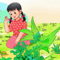 PowerPoint Tiếng Việt 2 Bài 16: Nghe - viết Tạm biệt cánh cam