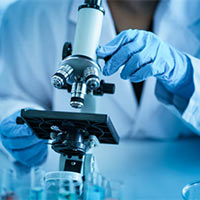 Bộ đề ôn thi giữa học kì 2 Khoa học tự nhiên 6 năm 2025 - 2026