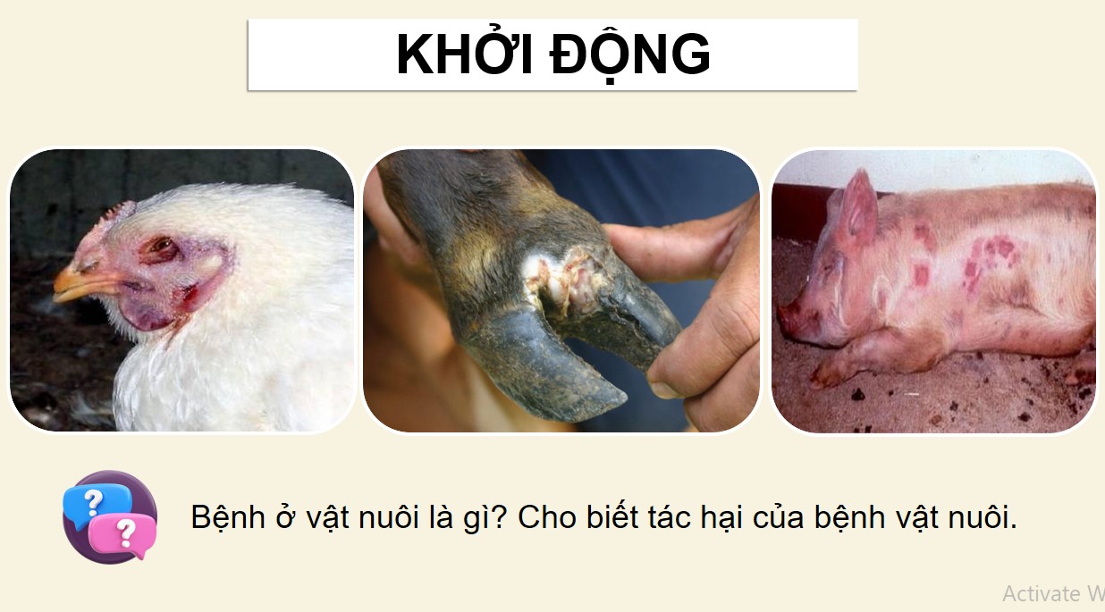 ppt cong nghe 12 kntt b23 1*534685