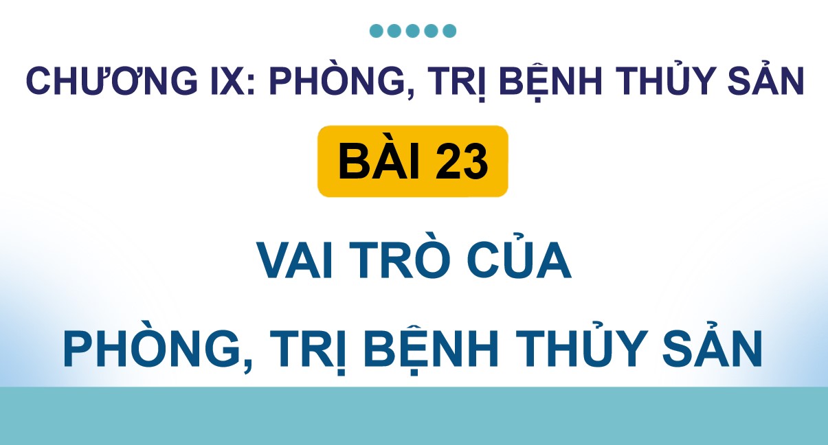 ppt cong nghe 12 kntt b23 3*534684