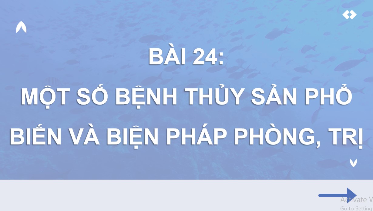 ppt cong nghe 12 kntt b24 2*534691