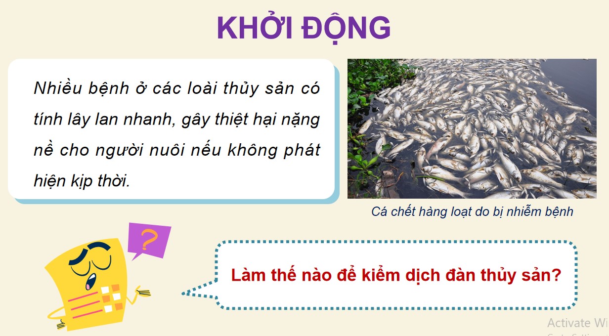 ppt cong nghe 12 kntt b25 1*534702