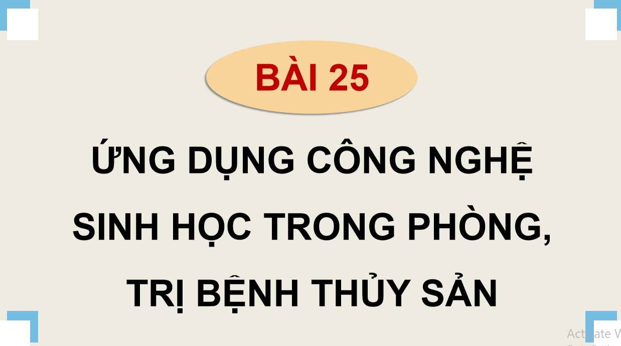 ppt cong nghe 12 kntt b25 2*534701