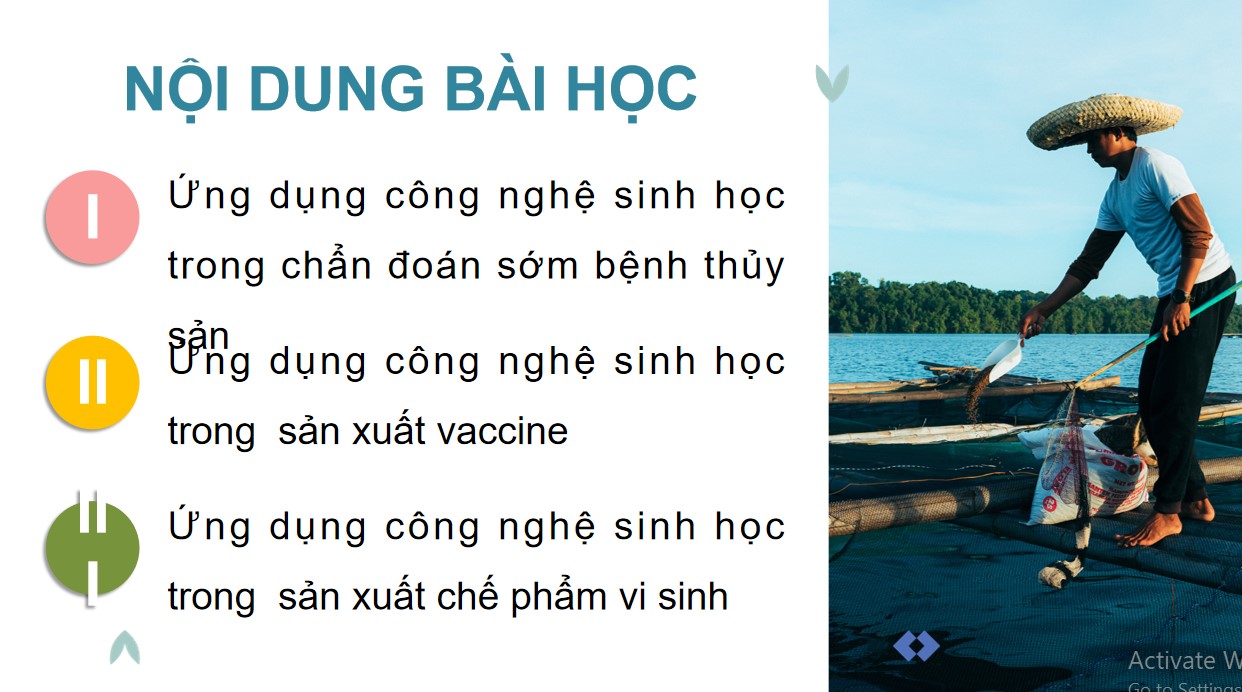 ppt cong nghe 12 kntt b25 3*534703