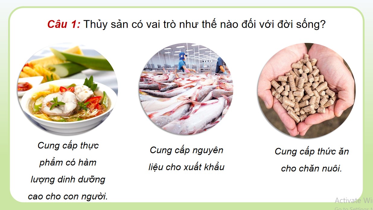 ppt cong nghe 12 kntt b26 2*535480