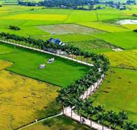 Kế hoạch bài dạy Tiết đọc thư viện lớp 3 tiết 8