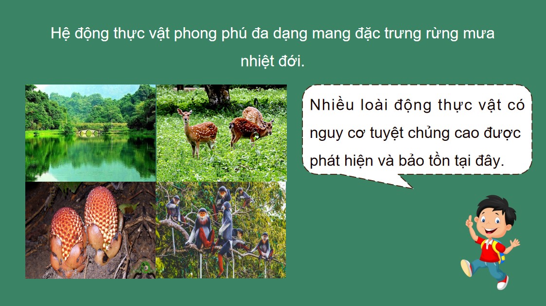 ppt cong nghe 12 kntt bai 3 2*535717
