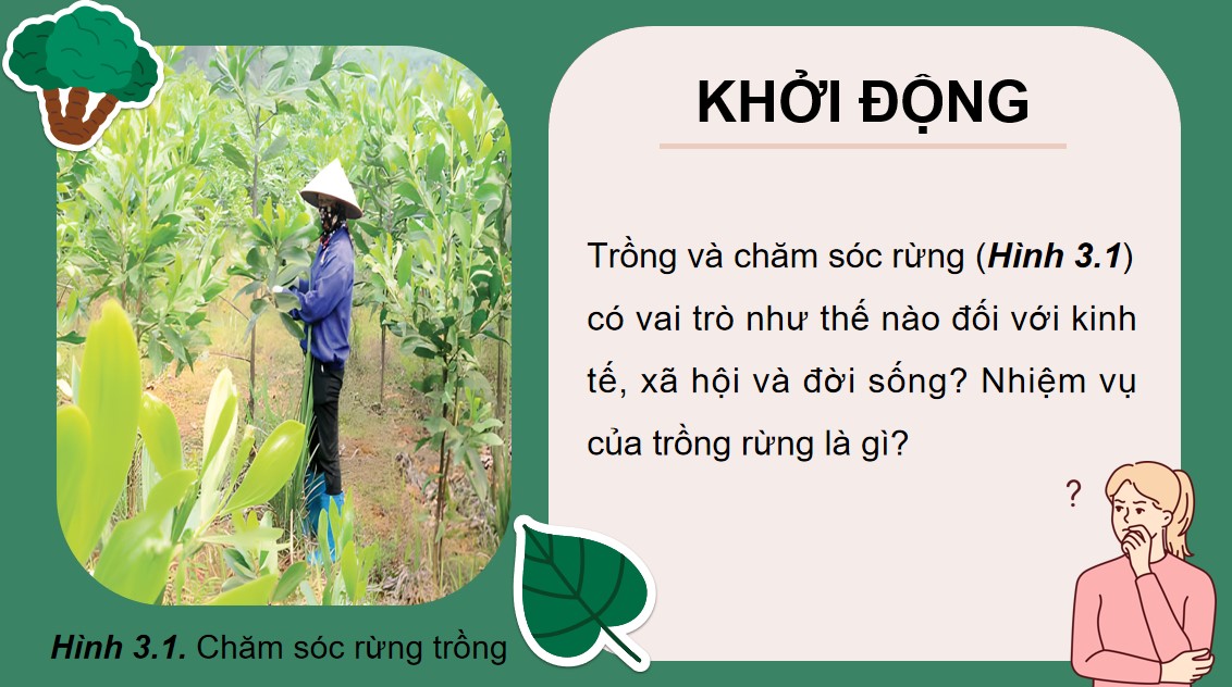ppt cong nghe 12 kntt bai 3 3*535716