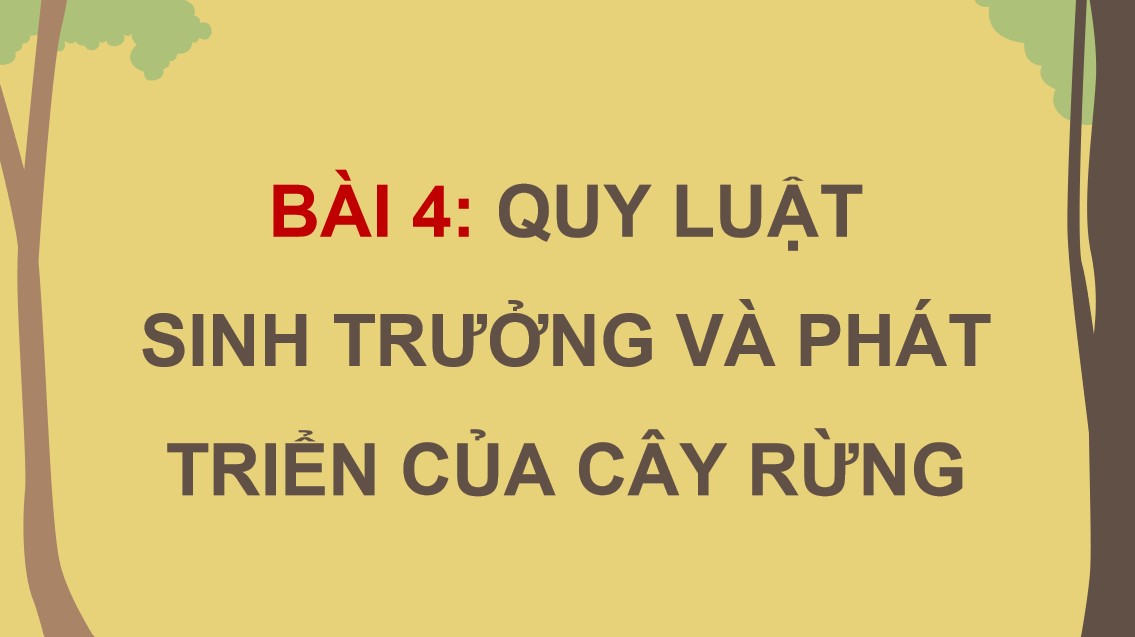 ppt cong nghe 12 kntt bai 4 2*535727