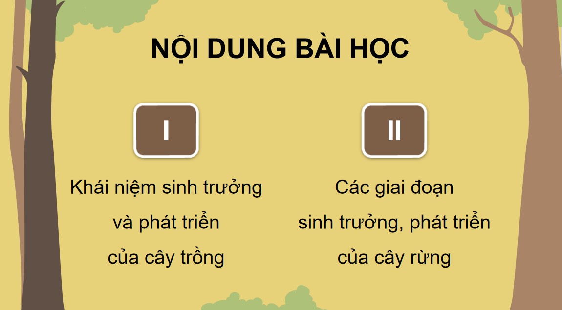 ppt cong nghe 12 kntt bai 4 3*535726