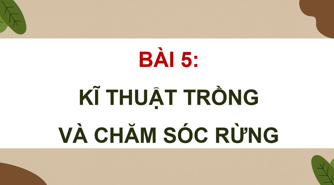 ppt cong nghe 12 kntt bai 5 2*535734