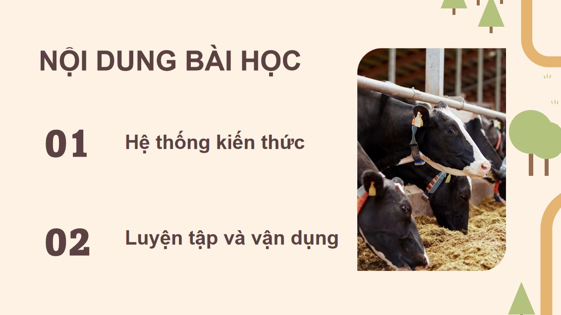 ppt cong nghe 12 kntt bai on tap c2 3*535754