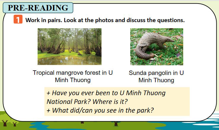 Tiếng Anh 11 Unit 10: Reading