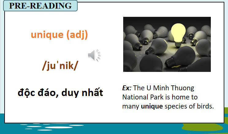 Tiếng Anh 11 Unit 10: Reading