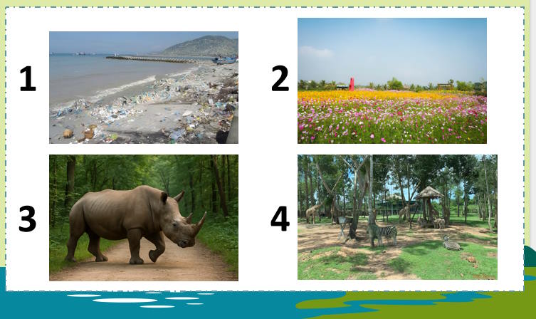 Tiếng Anh 11 Unit 10: Speaking