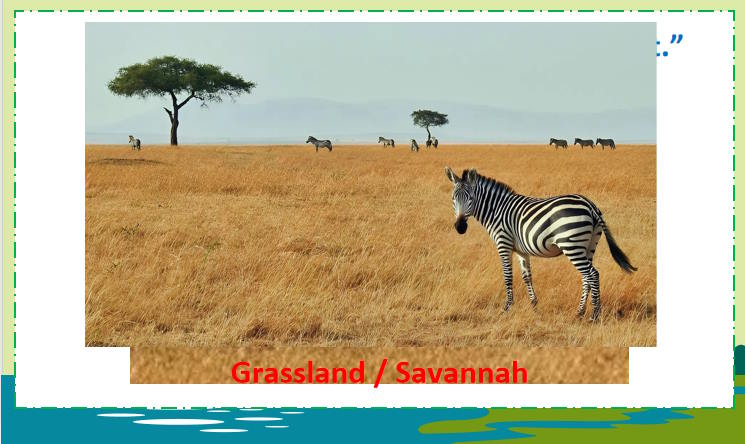 Tiếng Anh 11 Unit 10: Writing