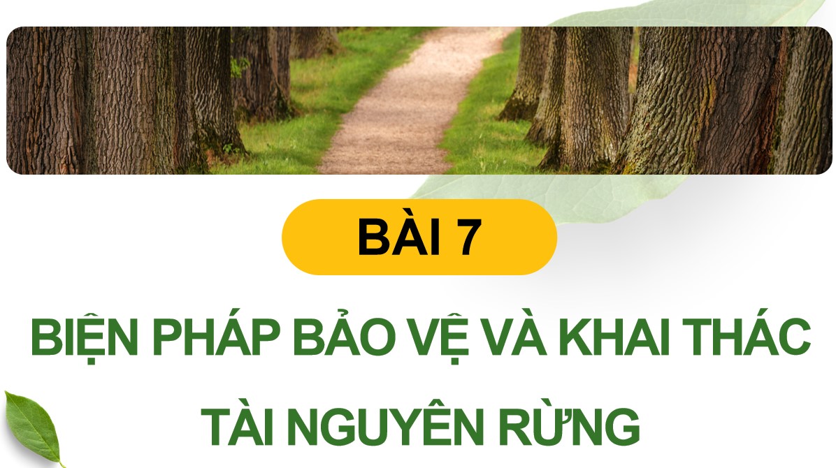ppt cong nghe 12 kntt bai 7 2*536373