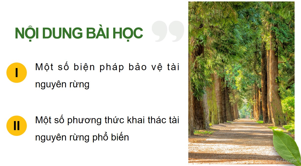 ppt cong nghe 12 kntt bai 7 3*536374