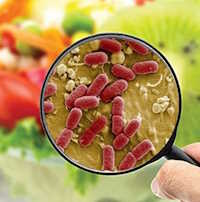 Giáo án Sinh hoạt tập thể lớp 1 tuần 20  chủ đề: Em quý trọng bản thân