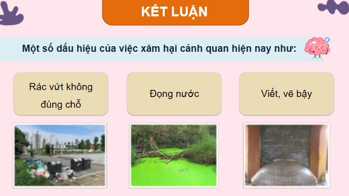 hdtn 4 kntt tuan 30 3*537441