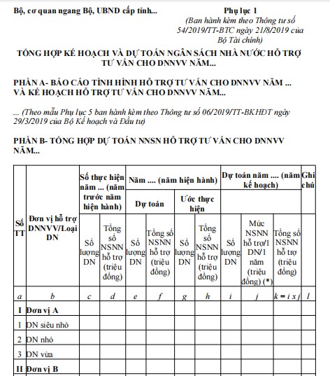 Mẫu tổng hợp kế hoạch và dự toán ngân sách nhà nước hỗ trợ tư vấn