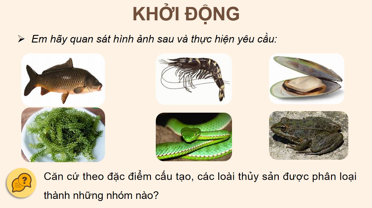 ppt cong nghe 12 kntt bai 9 1*537058