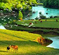 Giáo án Sinh hoạt tập thể lớp 1 tuần 31 chủ đề: Quê hương tươi đẹp