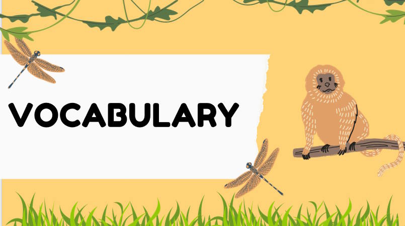 Giáo án Tiếng Anh 12 Unit 8: Language