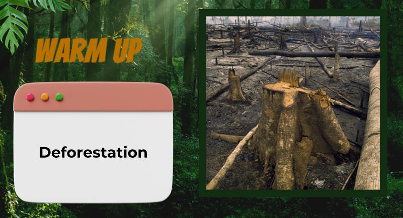 Giáo án Tiếng Anh 12 Unit 8: Listening