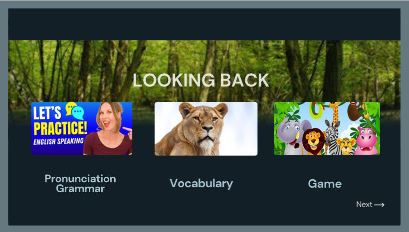 Giáo án Tiếng Anh 12 Unit 8: Looking Back