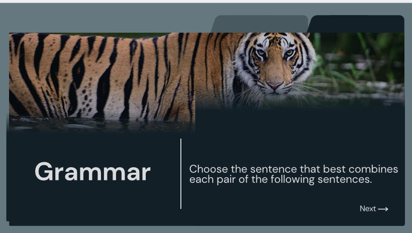 Giáo án Tiếng Anh 12 Unit 8: Looking Back