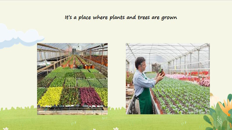 Giáo án Tiếng Anh 12 Unit 8: Reading