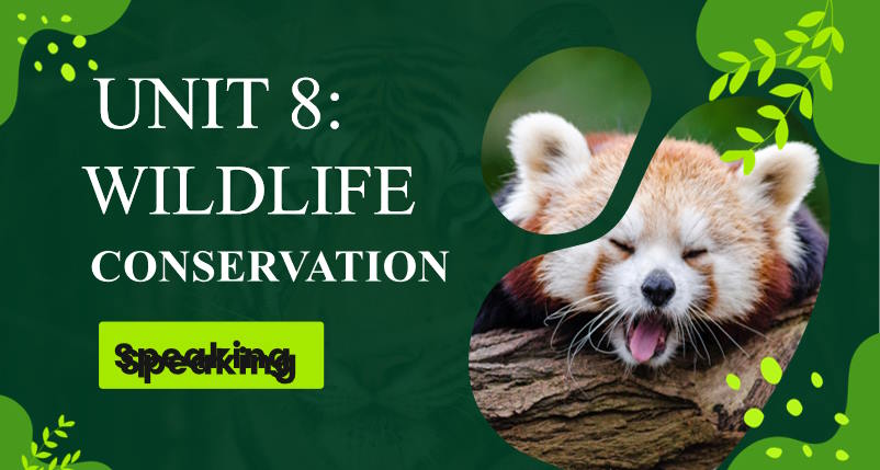 Giáo án Tiếng Anh 12 Unit 8: Speaking