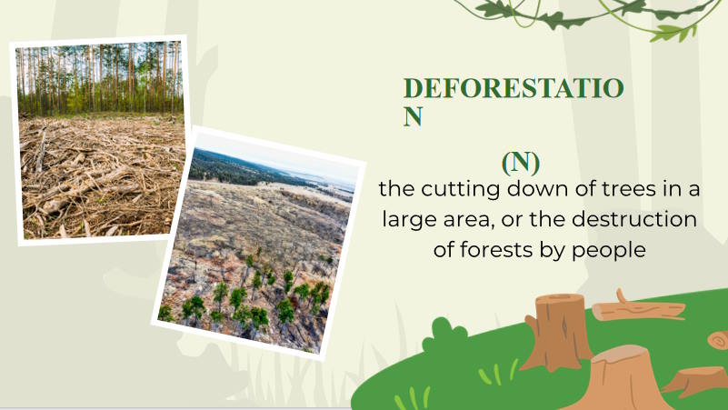 Giáo án Tiếng Anh 12 Unit 8: Writing