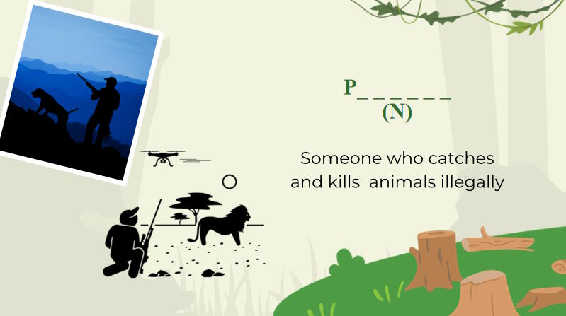 Giáo án Tiếng Anh 12 Unit 8: Writing