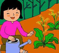 Kế hoạch bài dạy Tiết đọc thư viện lớp 5 tiết 16