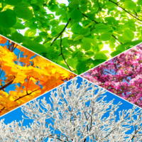 PowerPoint Tiếng Việt 2 Bài 2: Mở rộng vốn từ Bốn mùa. Nói và đáp lời mời, lời khen ngợi