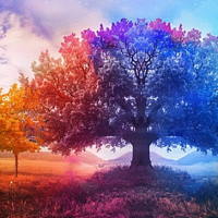 PowerPoint Tiếng Việt 2 Bài 4: Mở rộng vốn từ Bốn mùa (tiếp theo). Nghe - kể Sự tích mùa xuân và bộ lông trắng của thỏ