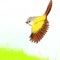 PowerPoint Tiếng Việt 2 Bài 1: Đọc Chuyện của vàng anh