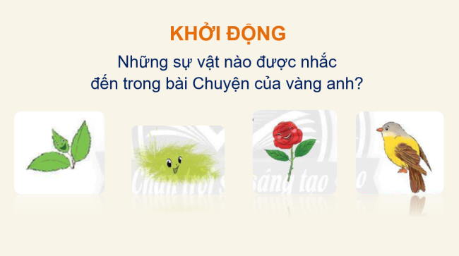 PowerPoint Tiếng Việt 2 Bài 1: Viết chữ hoa U, Ư