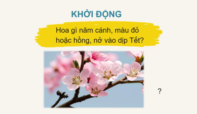 PowerPoint Tiếng Việt 2 Bài 4: Đọc Hoa mai vàng