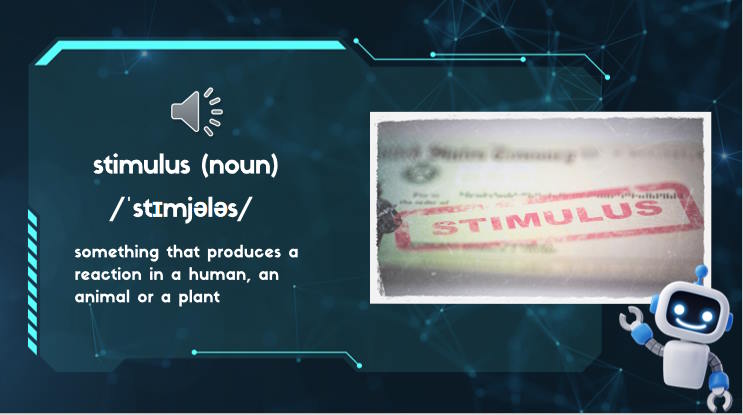 Tiếng Anh 12 Unit 6: Communication and Culture