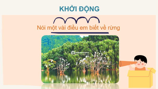 PowerPoint Tiếng Việt 2 Bài 2: Đọc Rừng ngập mặn Cà Mau