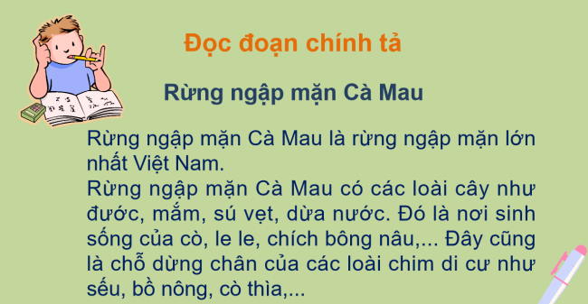 PowerPoint Tiếng Việt 2 Bài 2: Nghe - viết Rừng ngập mặn Cà Mau