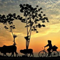 PowerPoint Tiếng Việt 2 Bài 4: Mở rộng vốn từ Quê hương (tiếp theo). Nghe - kể Sự tích Hồ Gươm