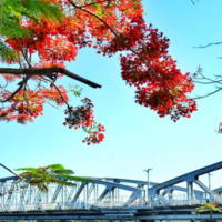 PowerPoint Tiếng Việt 2 Bài 4: Nghe - viết Sông Hương. Phân biệt eo/oe, iu/iêu, an/ang